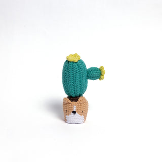 NEW members join Cactus Family! - Happy Vanilla Crochet