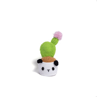 NEW members join Cactus Family! - Happy Vanilla Crochet