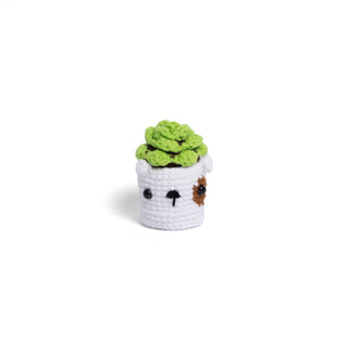 NEW members join Cactus Family! - Happy Vanilla Crochet