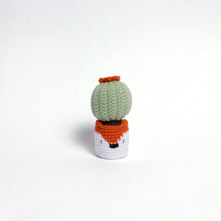NEW members join Cactus Family! - Happy Vanilla Crochet