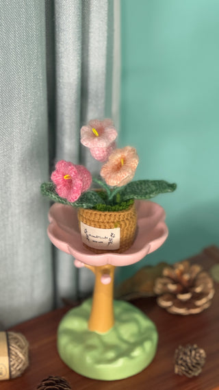 Cactus Crocheted pots - Happy Vanilla Crochet