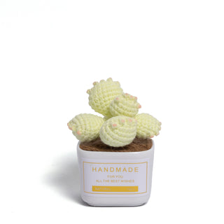 Tranquil Succulent Garden Collection - Happy Vanilla Crochet