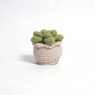 Soft Crochet Succulent Plants - Happy Vanilla Crochet