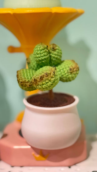 Handcrafted Succulent Garden in Pastels - Happy Vanilla Crochet