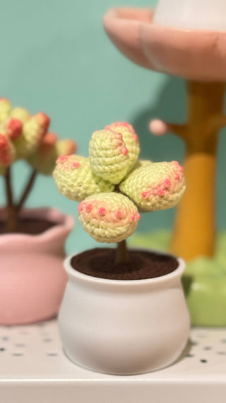 Handcrafted Succulent Garden in Pastels - Happy Vanilla Crochet