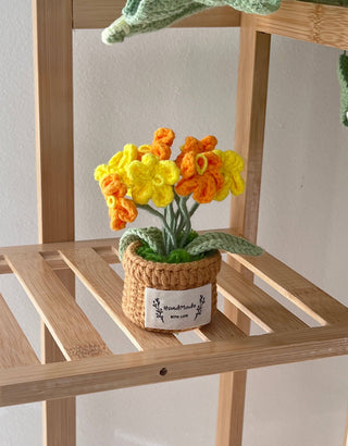 Cactus Crocheted pots - Happy Vanilla Crochet