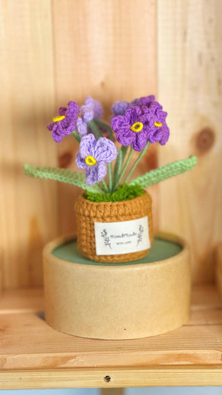 Cactus Crocheted pots - Happy Vanilla Crochet