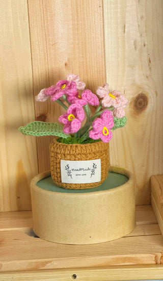 Cactus Crocheted pots - Happy Vanilla Crochet