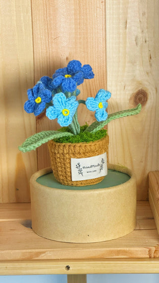 Cactus Crocheted pots - Happy Vanilla Crochet