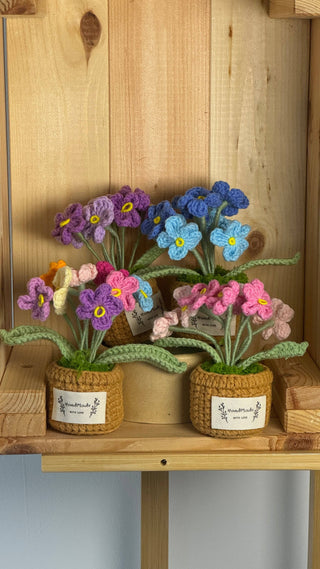 Cactus Crocheted pots - Happy Vanilla Crochet