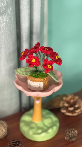Cactus Crocheted pots - Happy Vanilla Crochet