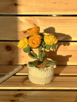 XXL Pot Plants : Larger the size, Bigger the smile - Happy Vanilla Crochet