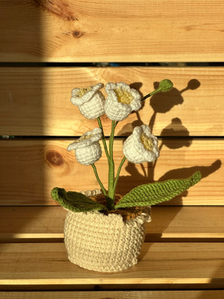 XXL Pot Plants : Larger the size, Bigger the smile - Happy Vanilla Crochet