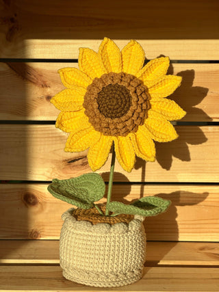 XXL Pot Plants : Larger the size, Bigger the smile - Happy Vanilla Crochet