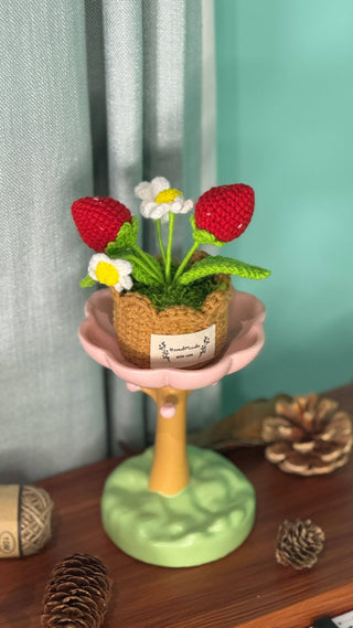 XXL Pot Plants : Larger the size, Bigger the smile - Happy Vanilla Crochet