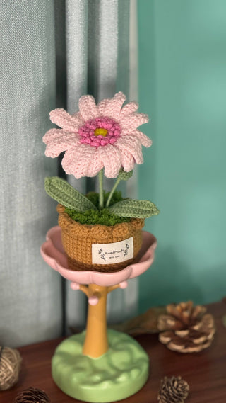 XXL Pot Plants : Larger the size, Bigger the smile - Happy Vanilla Crochet