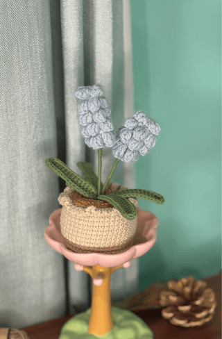 XXL Pot Plants : Larger the size, Bigger the smile - Happy Vanilla Crochet