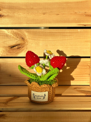 Everlasting Garden: Miniature Pot Plant Treasuries - Happy Vanilla Crochet