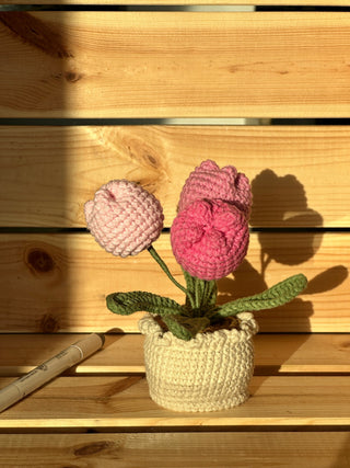 Everlasting Garden: Miniature Pot Plant Treasuries - Happy Vanilla Crochet