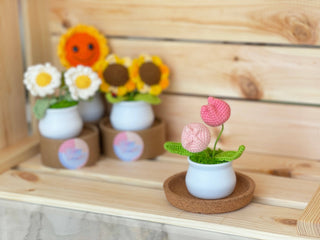Blooming Joy: Whimsical Garden Collection in White Pot Crochet Plants - Happy Vanilla Crochet