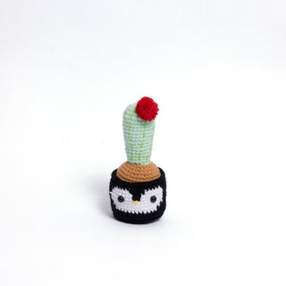 NEW members join Cactus Family! - Happy Vanilla Crochet