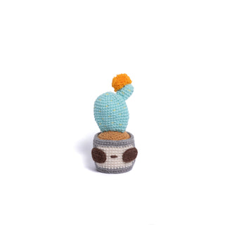NEW members join Cactus Family! - Happy Vanilla Crochet