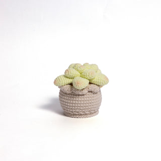 Soft Crochet Succulent Plants - Happy Vanilla Crochet