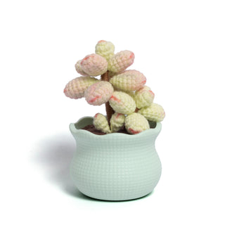 Tranquil Succulent Garden Collection - Happy Vanilla Crochet