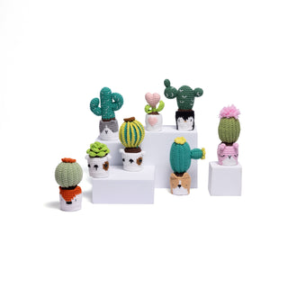NEW members join Cactus Family! - Happy Vanilla Crochet