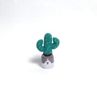 NEW members join Cactus Family! - Happy Vanilla Crochet