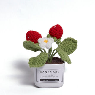 Tranquil Succulent Garden Collection - Happy Vanilla Crochet