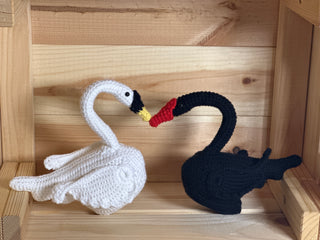 Black and White Swan Couple