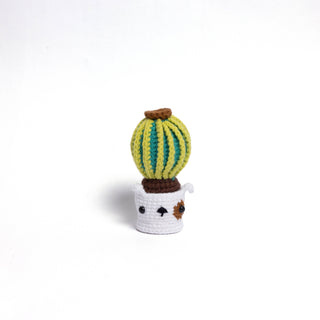 NEW members join Cactus Family! - Happy Vanilla Crochet