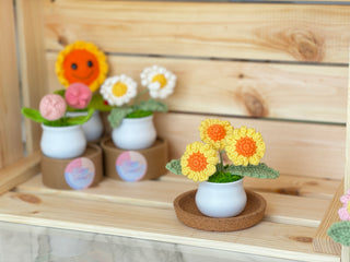 White Pot Crocheted Plants