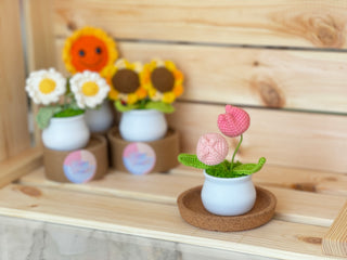 White Pot Crocheted Plants