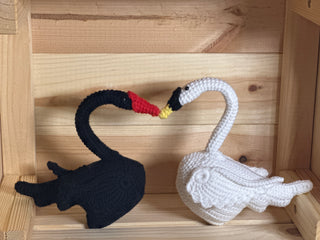 Black and White Swan Couple