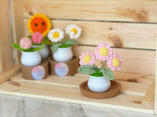 White Pot Crocheted Plants