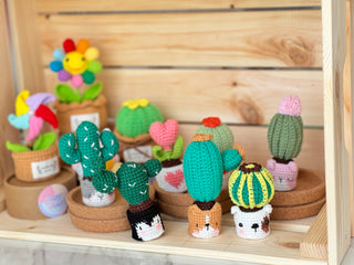 Cactus en pots crochetés