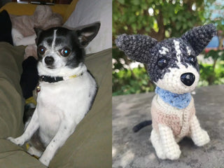 Make to order your pet crochet