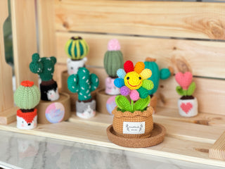 Cactus Crocheted pots