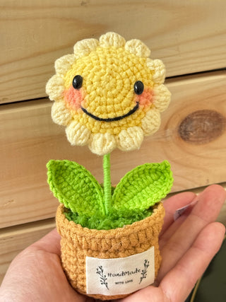 Cactus Crocheted pots