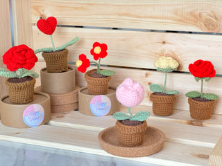 Cactus en pots crochetés