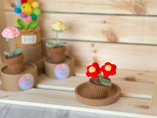 Cactus Crocheted pots