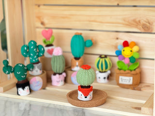 Cactus en pots crochetés