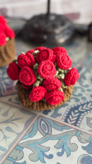 Rose Coaster and Pot Plant
