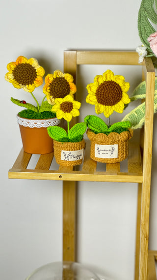 Sunflower Crocheted Plant Pots