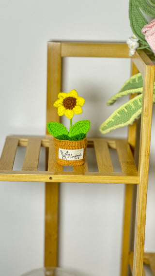 Sunflower Crocheted Plant Pots