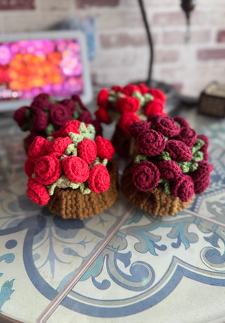 Rose Coaster and Pot Plant