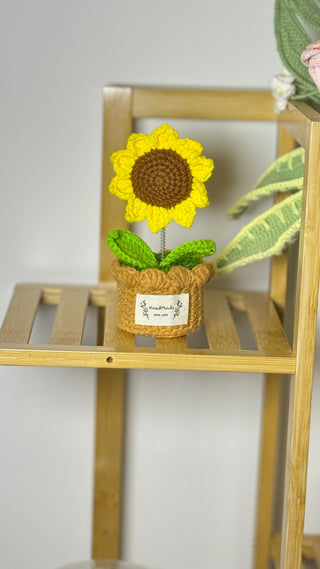 Sunflower Crocheted Plant Pots