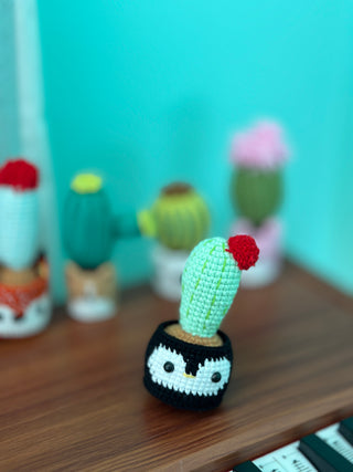 NEW members join Cactus Family!